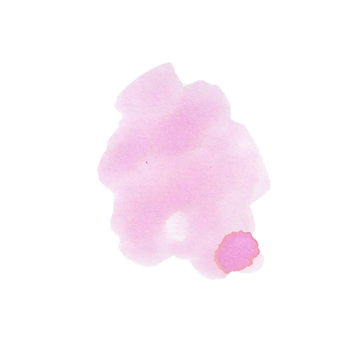 Sailor 寫樂 四季織墨水芯 櫻森